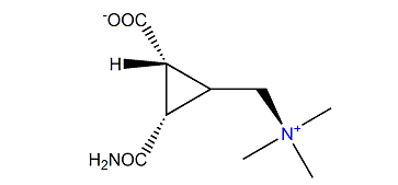 Dysibetaine CPb